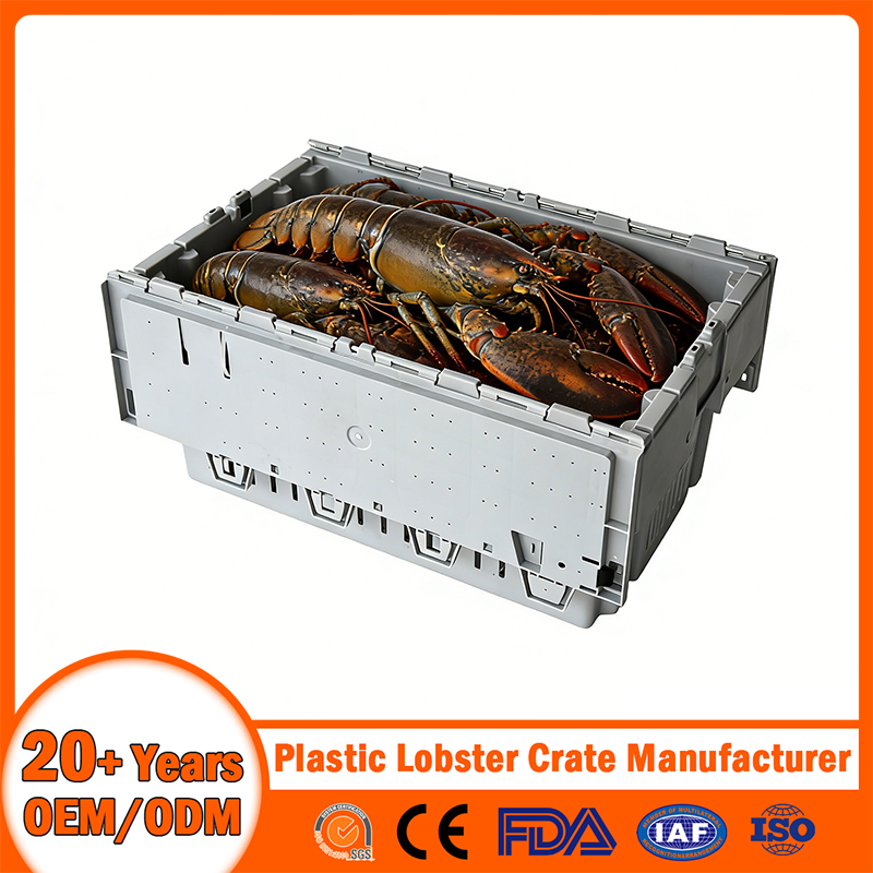 Stackable Nestable Ventilation/Drainage/Solid/Vented/Perforated Handheld Plastic Lobster Crate with Drainage Hole/Bale Arm/Hand/Divided for Seafood Transport