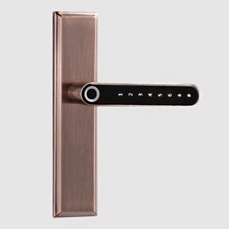 Biometrics Tt Lock APP Double Fingerprint Smart Door Lock
