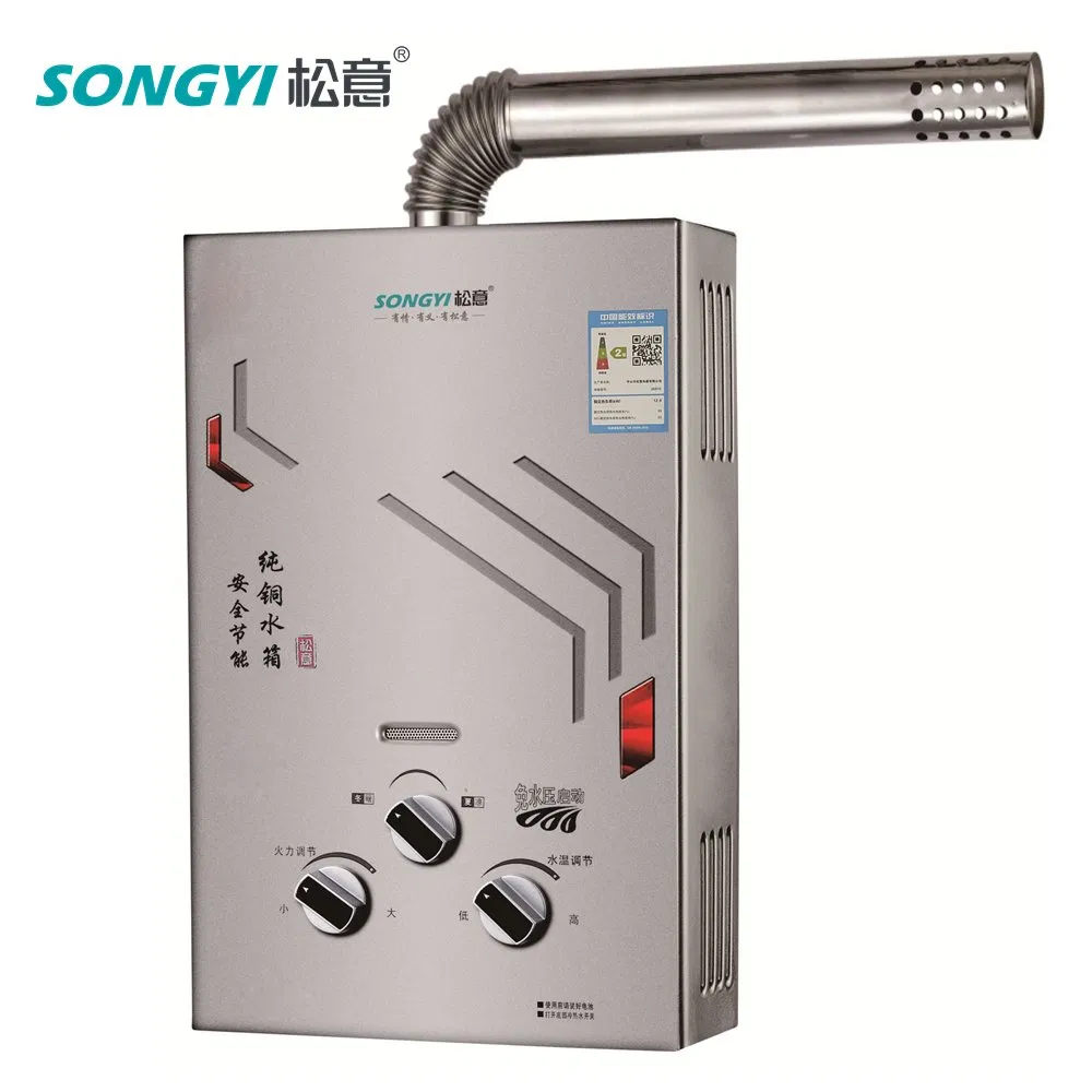 Camping Geyser Intelligent Tankless Gas Water Heater Indoor Heating