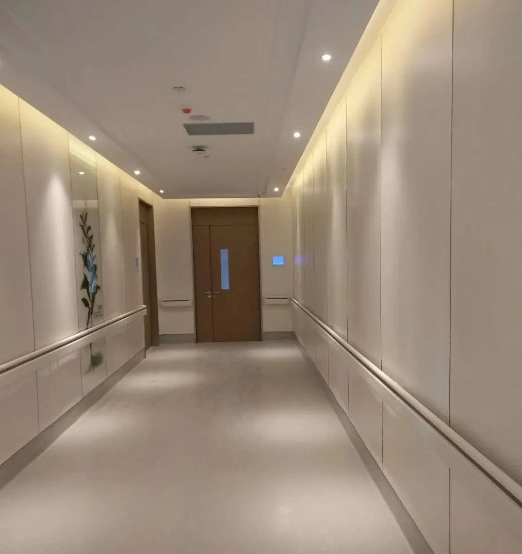 Colorful High Pressure Laminate and Compact Laminate