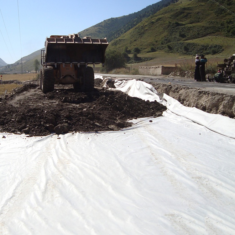 High-Quality Hot Sale Customized Strong Adaptability PP/Pet Geotextile for Erosion Control and Slope Stability Use