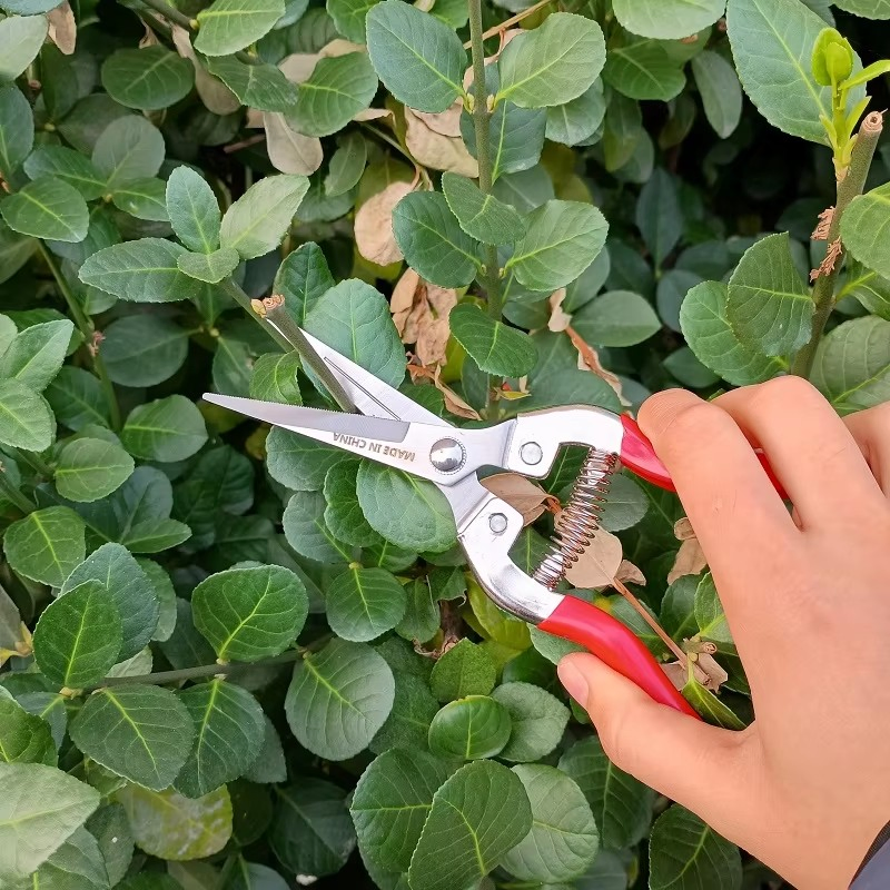 Секатор садовый обходной SK5 с мягкой рукояткой