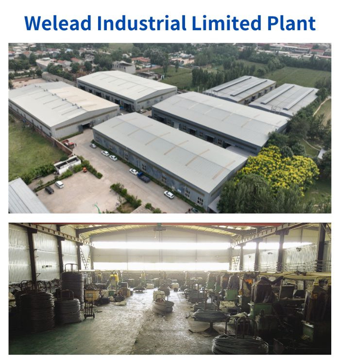 Ceiling Wedge Anchor 6 X 40mm Multiple Fixings of Non-Structural Applications for Suspending Ceiling Hangers in Concrete