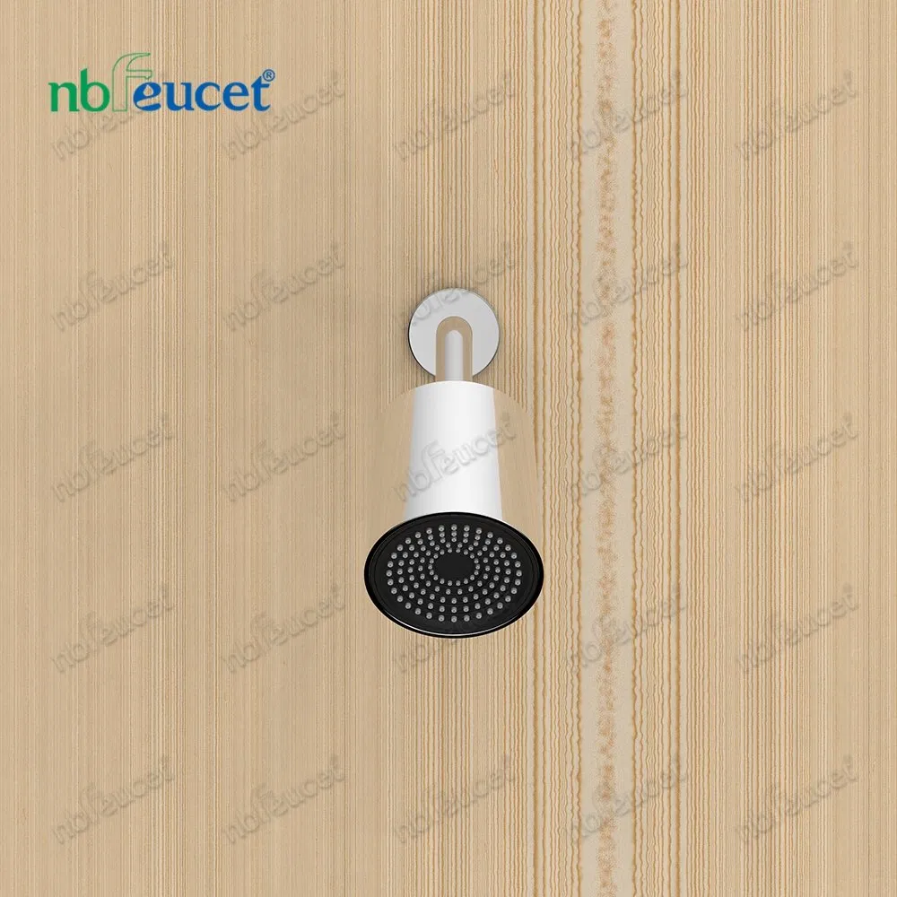 Modern ABS Chromed Wall Mounted Shower Head