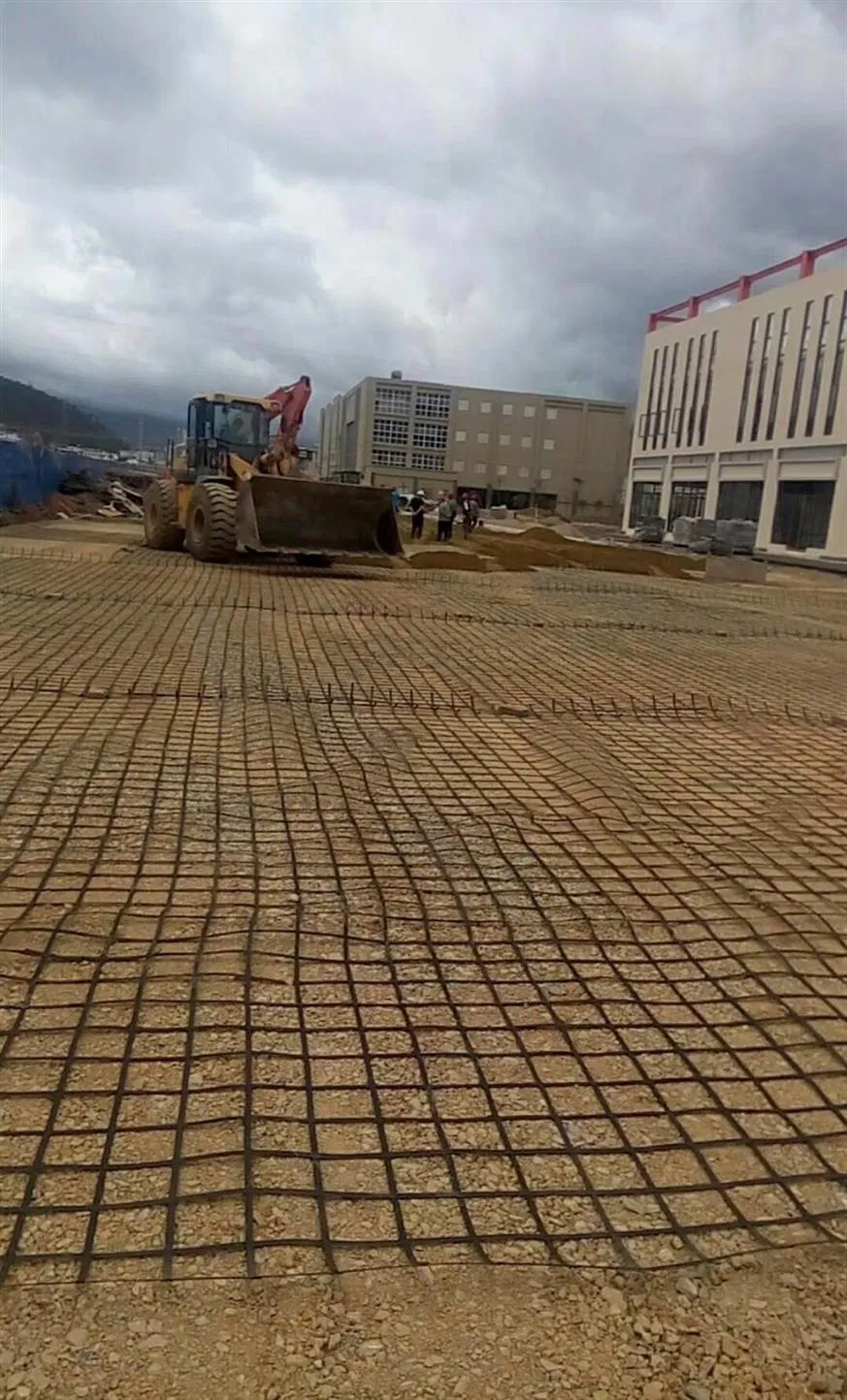 Quality Geogrid Geocell Drainage Board for Improved Groundwater Management