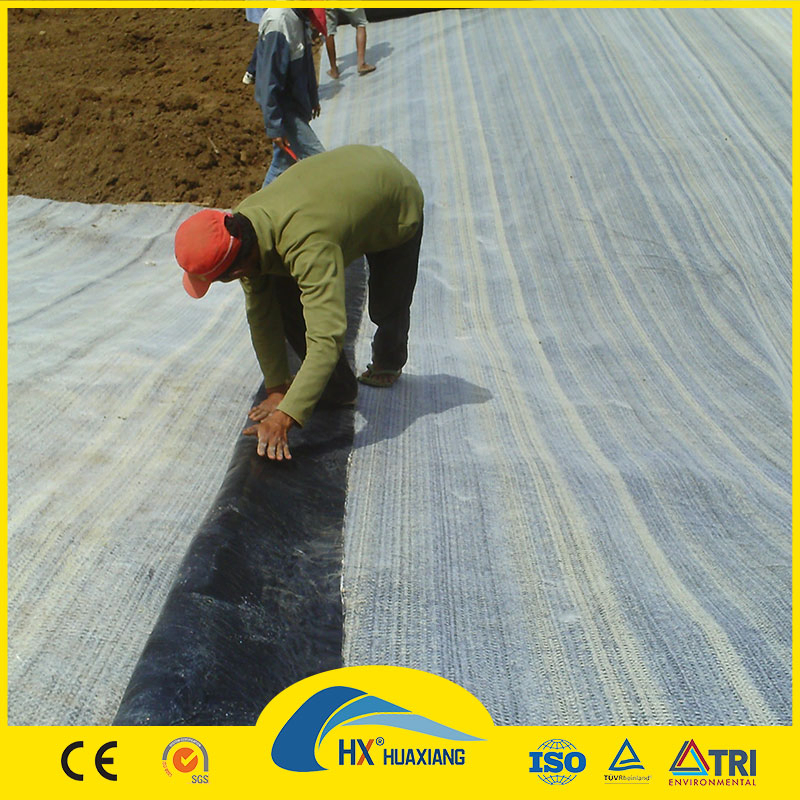 Geosynthetic Clay Liner Gcl Anti-Leakage with 5000g Weight Low Price for Municipal Engineering