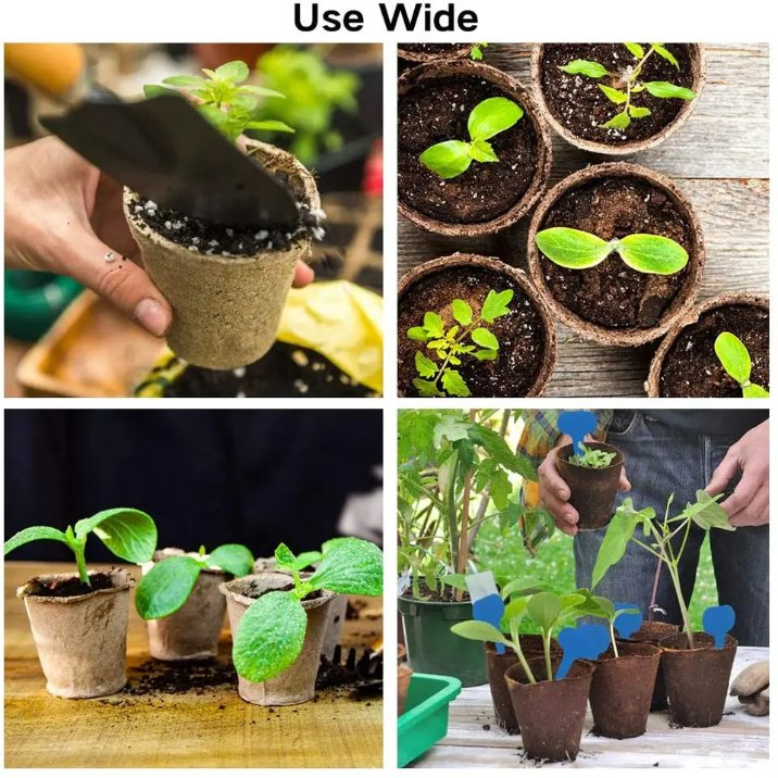 Biodegradable Transplanter Molded Fiber Pulp Plant Seed Starter Flower Pots Seedlings Small Paper Pulp Peat Pot