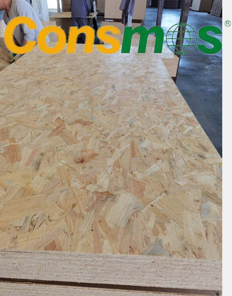 Consmos Hot Sale Cheap Price 9mm 12mm 15mm 18mm Waterproof OSB Board for Peru Market