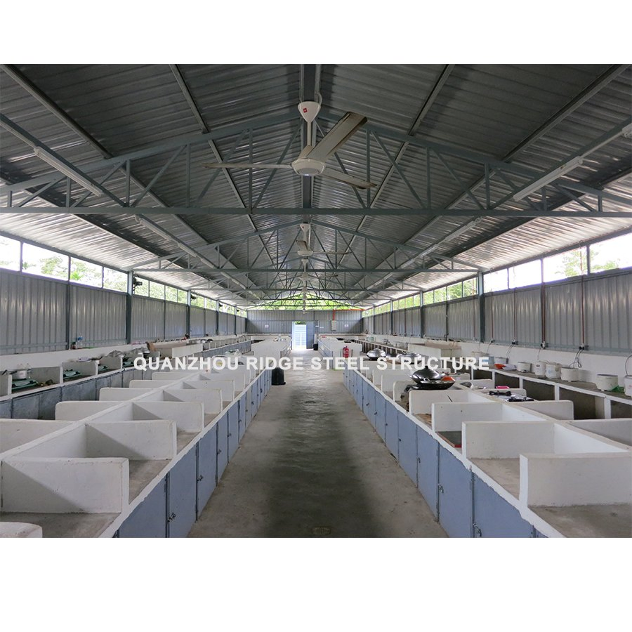 New Type Light Steel Structure Warehouse Hangar Hall Price Workshop Storage Building
