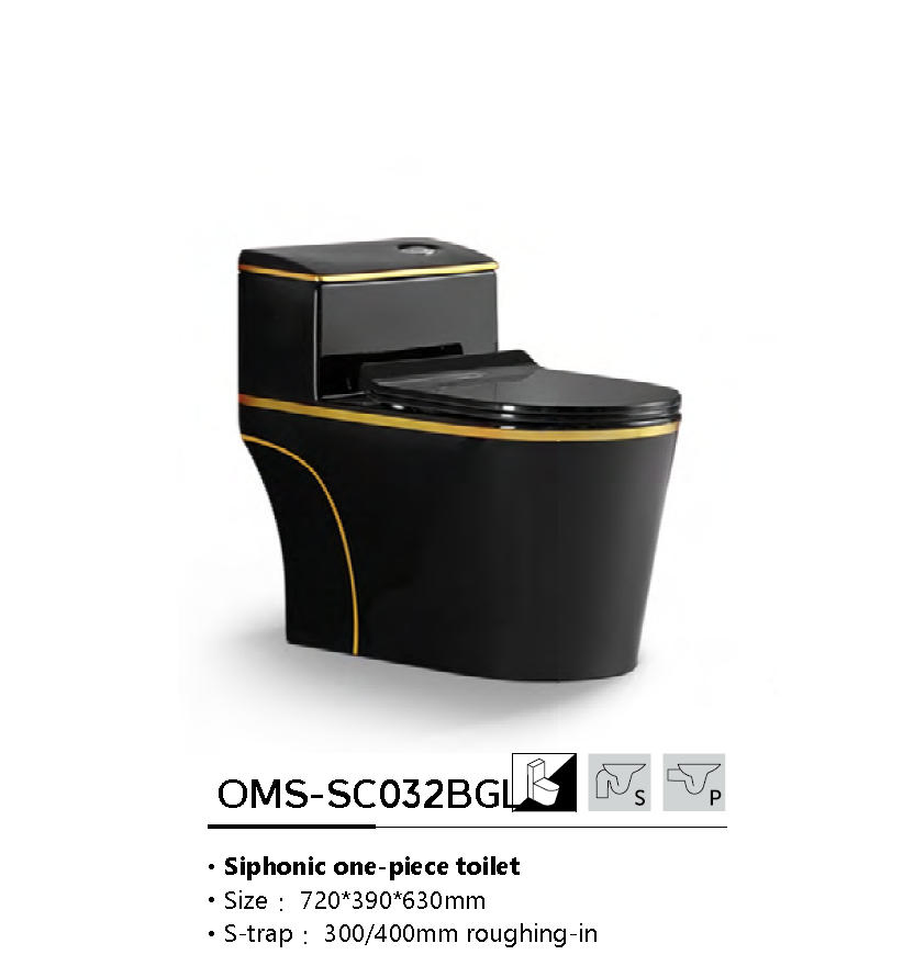 Water-Saving Eco-Friendly One Piece Toilet with Modern Design