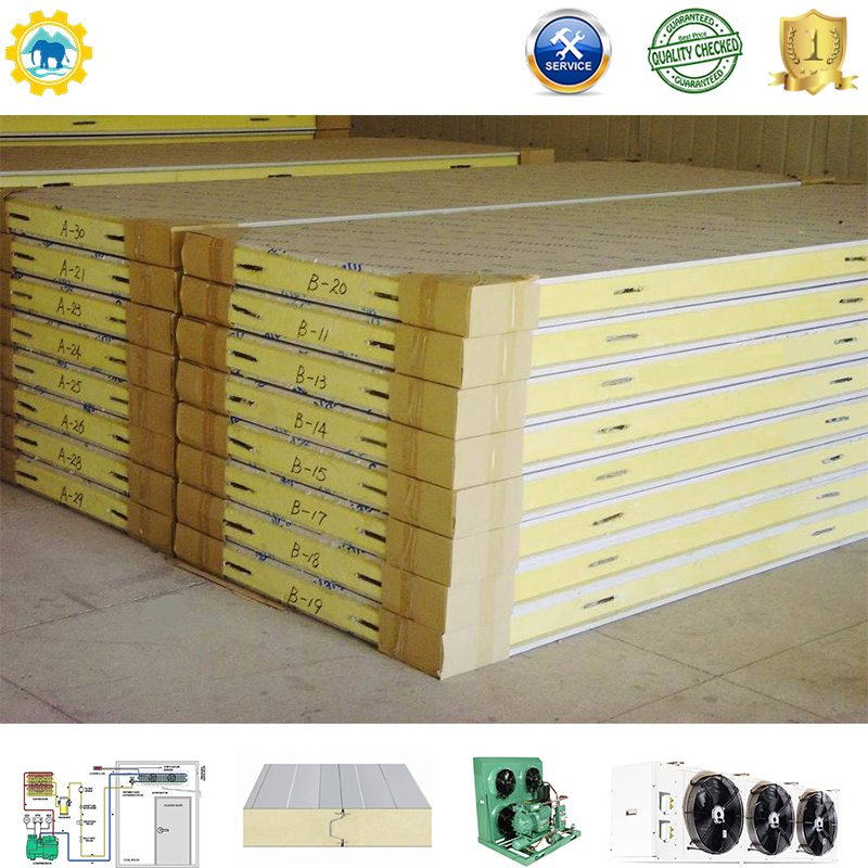 Cold Room/Cold Storage/Cold Warehouse Polyurethane PU PUR PIR Sandwich