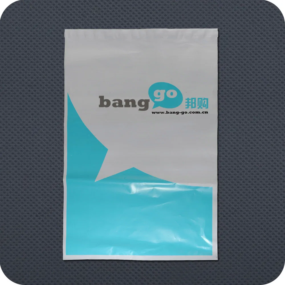 Custom Printed Retail Plastic Courier Bag