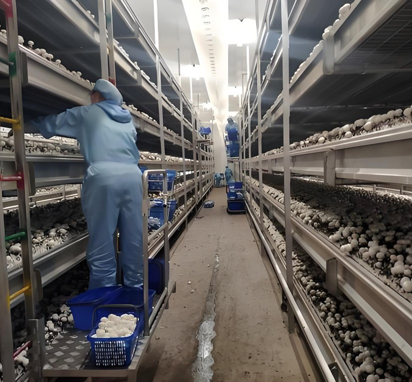 Breeding Capsule Container Intelligent Automatic Mushroom Intelligent Breeding Capsule