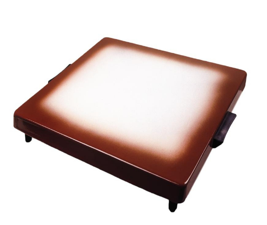 Electric Israel Food Warming Tray Hot Plate for Shabbat