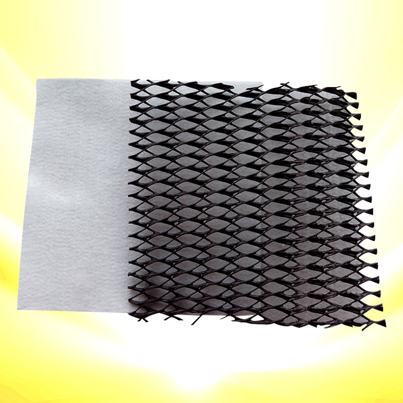Factory Price Needled Nonwoven Core Reinforced Composite Drainage Geonet