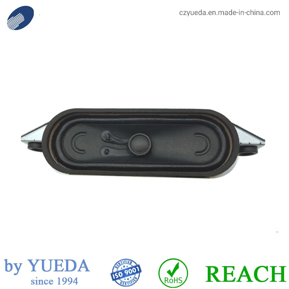 10W TV Raw Speaker Component La/Ra