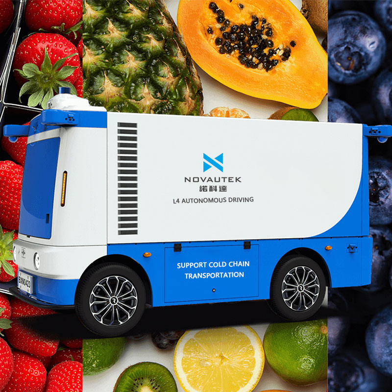 Autonomous Delivery Vehicle with 5.5m³ Cargo Capacity and L4 Self Driving