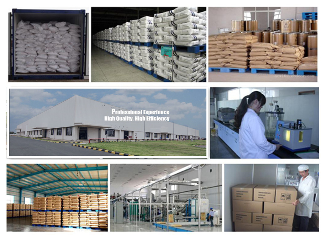 High Quality 99% Food Grade Sodium Gluconate Food Additives