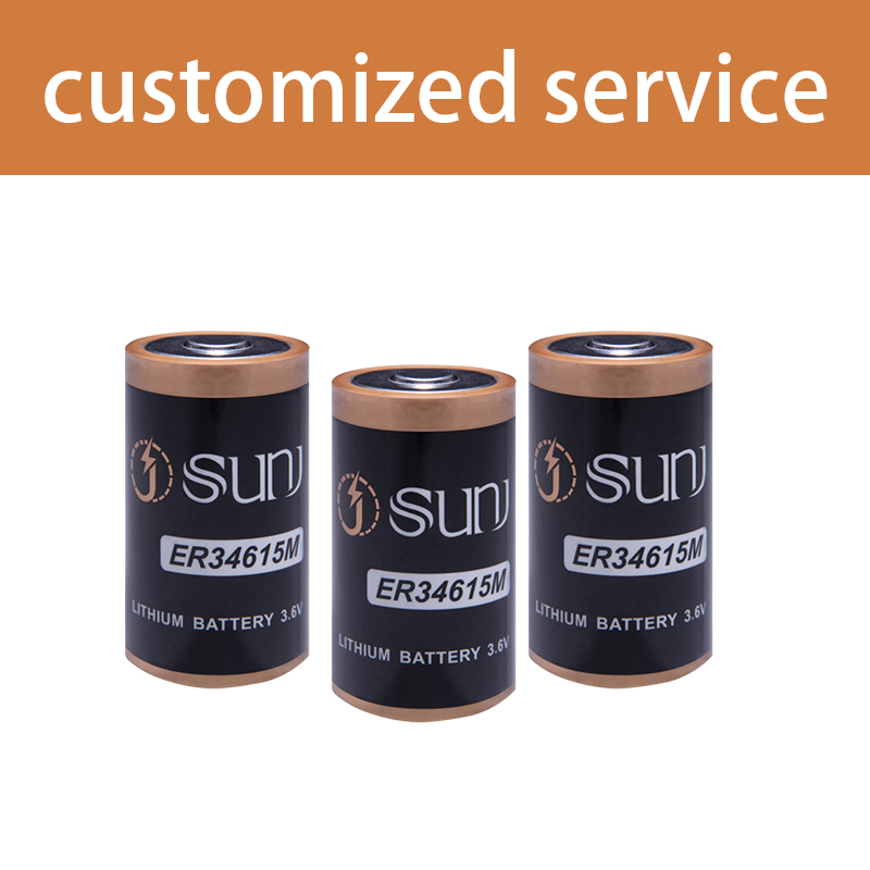 Meter Battery High Pulse Cylindrical 3.6V Cell Er34615m Lithium Battery Power Supply