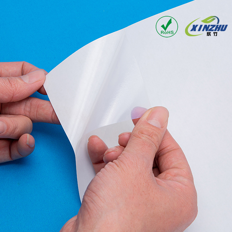 Transparency Pet Special Raw Materials for Cloth and Accessories Adhesive Sticker