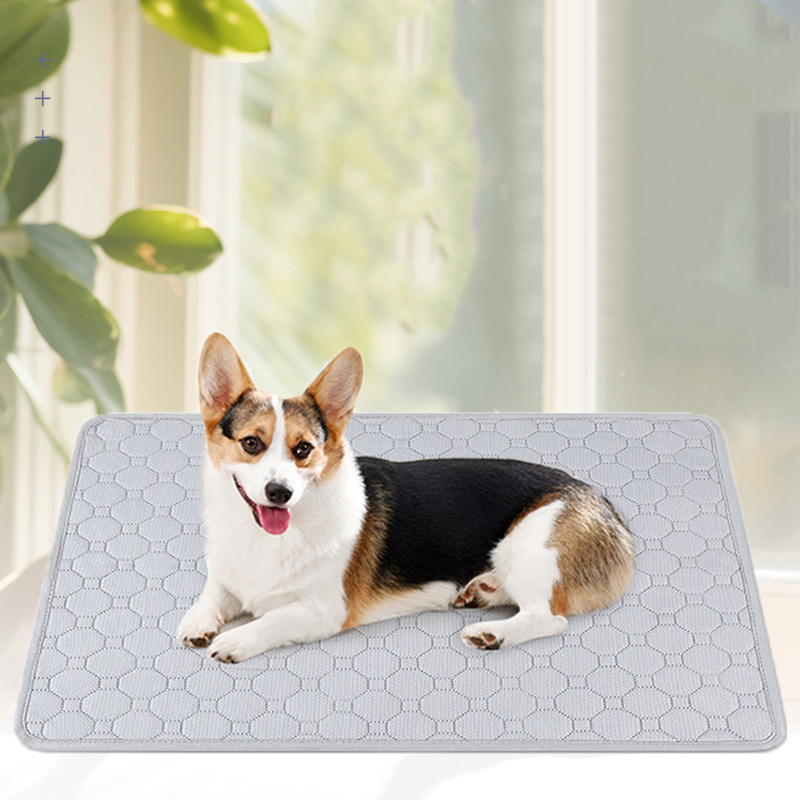 Pet Urine Pad, Breathable and Water-Absorbent, Dog Urine Pad, Machine Washable, Anti-Slip, and Training Urine Pad