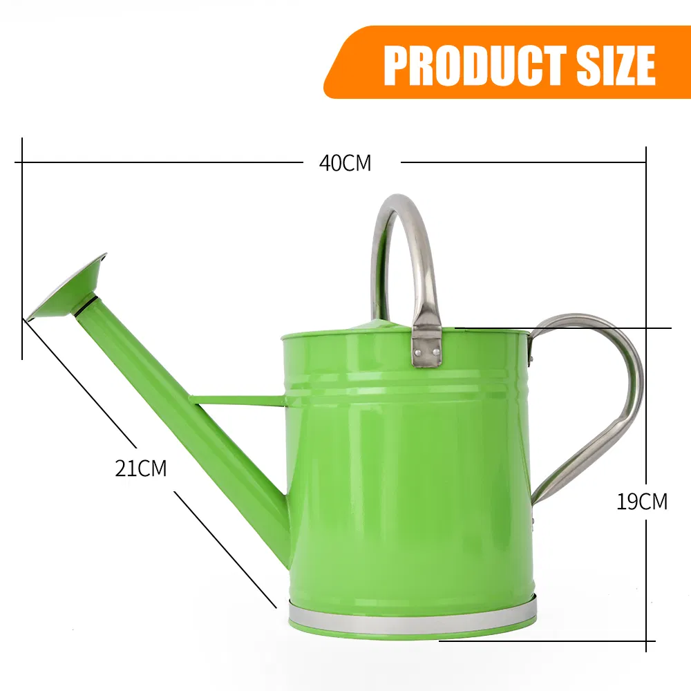 Heavy Duty 4L Metal Garden Watering Can/Pot/Kettle Detachable Sprinkler Head Sprayer with 2 Water Outlet for Plants Irrigation
