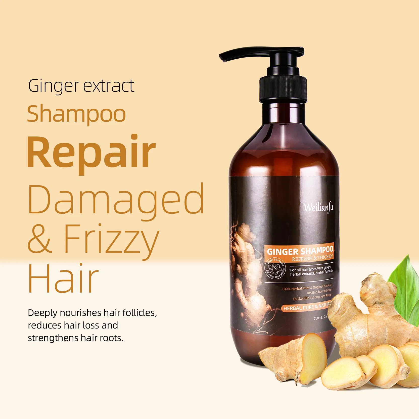 Herbal Ginger Hair Care Shampoo and Conditioner Set Hair Anti-Loss Prevention Hair Growth Strengthens Hair Roots Shampoo