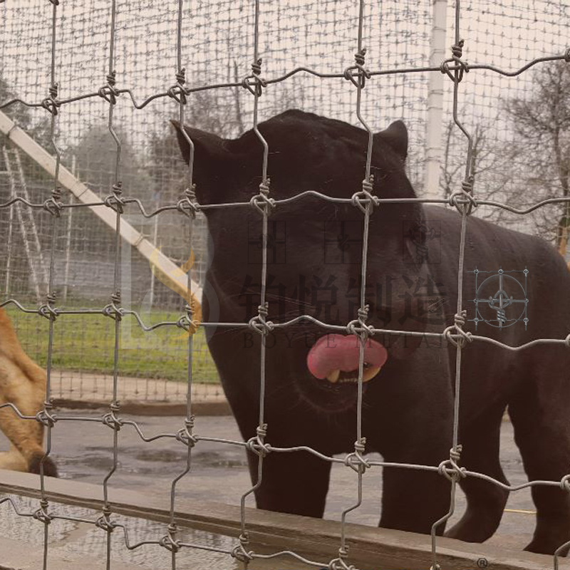 High Zinc Coating Garden/Amimal/Cattle Fixed Knot Security Fence Agricultural/ Farm/ Guard