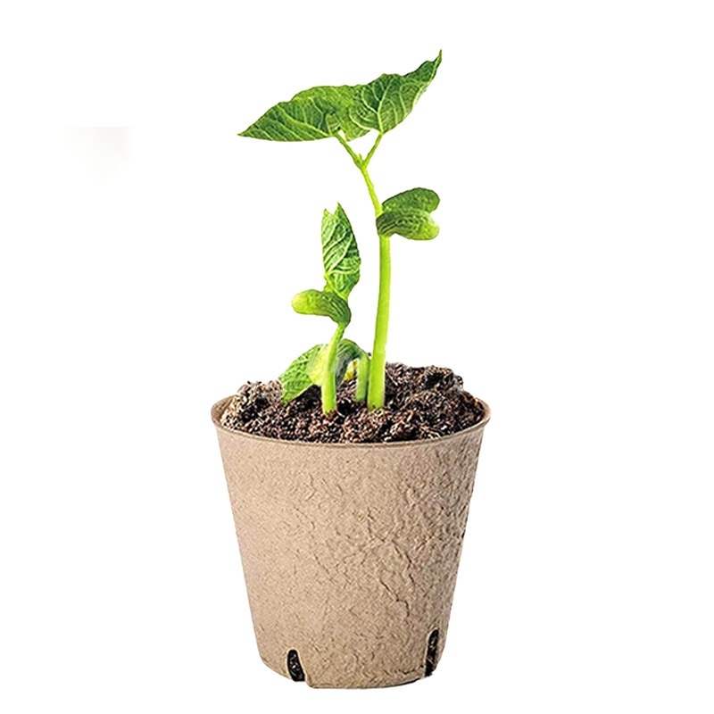 Biodegradable Plants Pots 120 PCS 3.15 Inch Seed Starting Pots with Drainage Holes Round