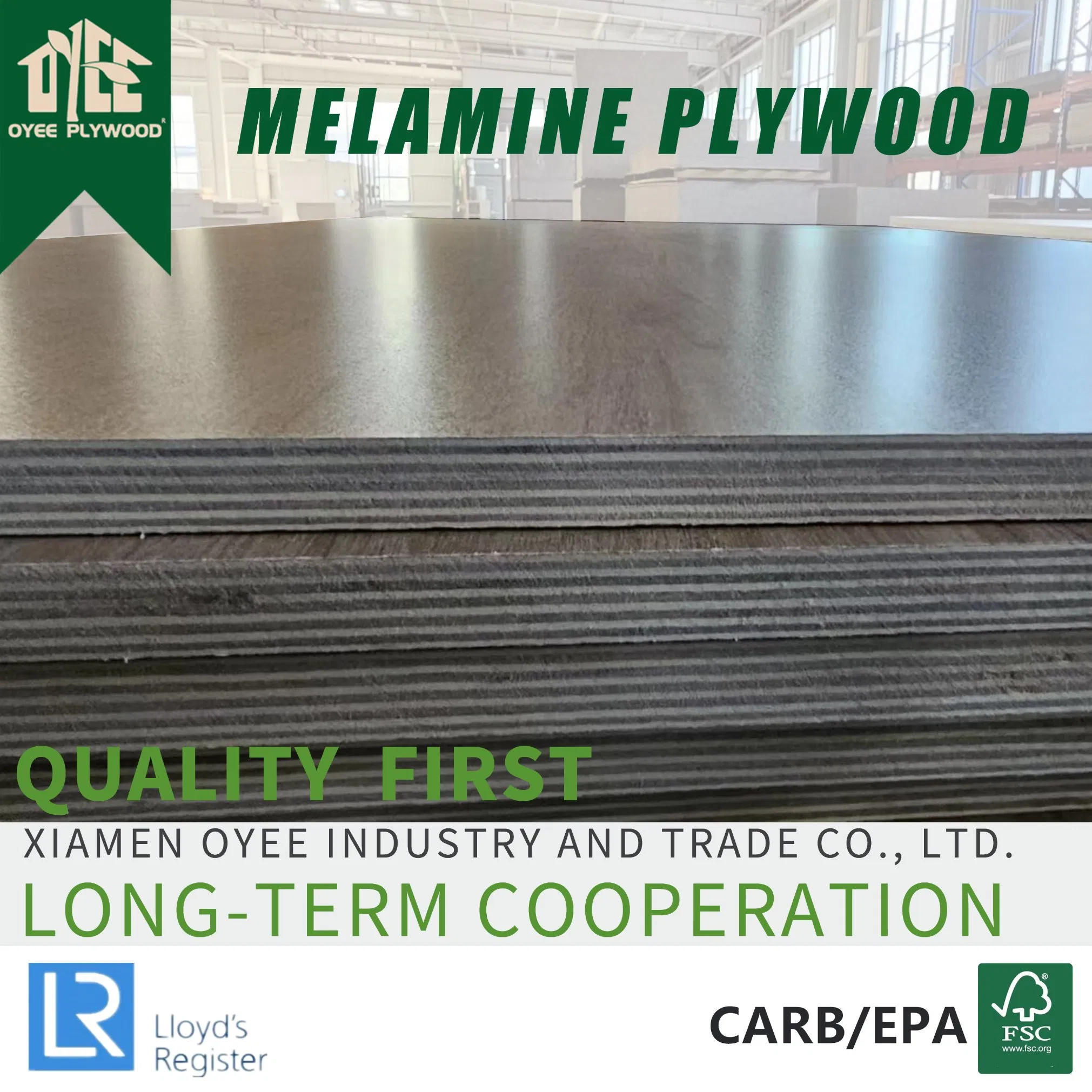 Top Quality Melamine Laminated Plywood Matt/Glossy/Embossed Finish /Wood Grain Plywood Board for Furniture, Decoration