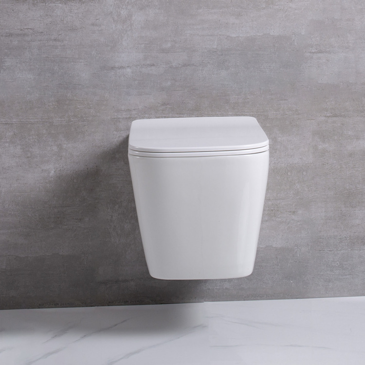 Wall-Mounted Concealed Cistern Elongated Toilet Bowl Dual-Flush Ceramic Wc with Seat Cover