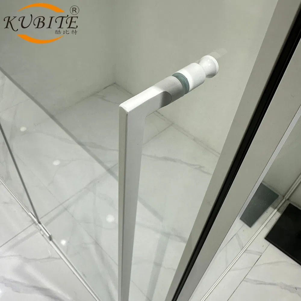 Premium Stainless Steel Framed Shower Enclosure for Modern Bathrooms
