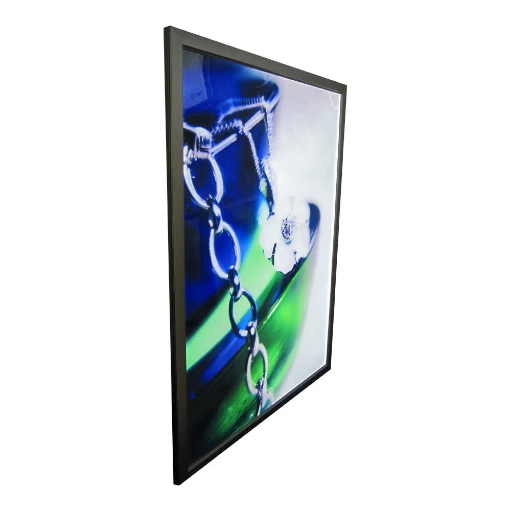 LED Module Light with LED Lighting and LED Display Sign