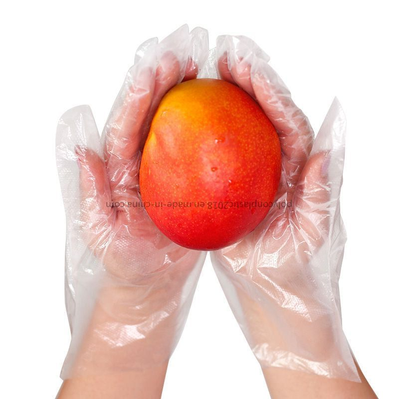 Poly Disposable Kitchen Gloves Medium, BPA Free, Food Grade