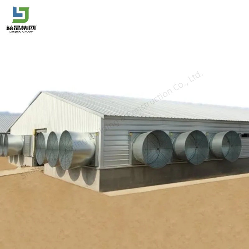 Large Capacity Modern Poultry Farm Steel Structure Animal House Layer/Broiler Chicken Coop Building for Automatic Battery Cage