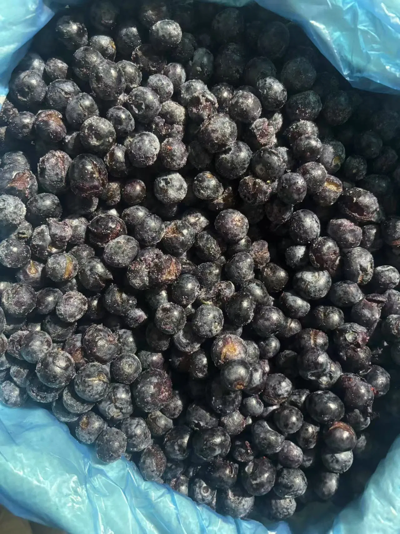 Wholesale Froze Fruit IQF Fruit IQF Blueberry (grade B)