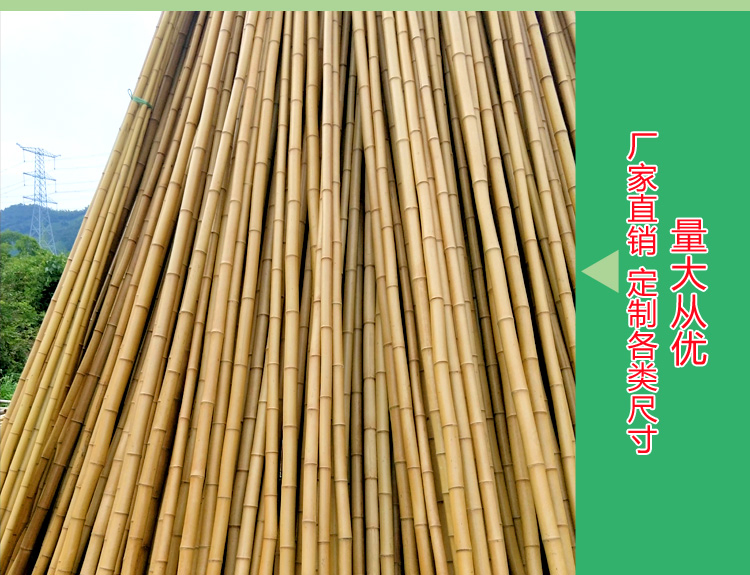 Large Bamboo Sticks Poles