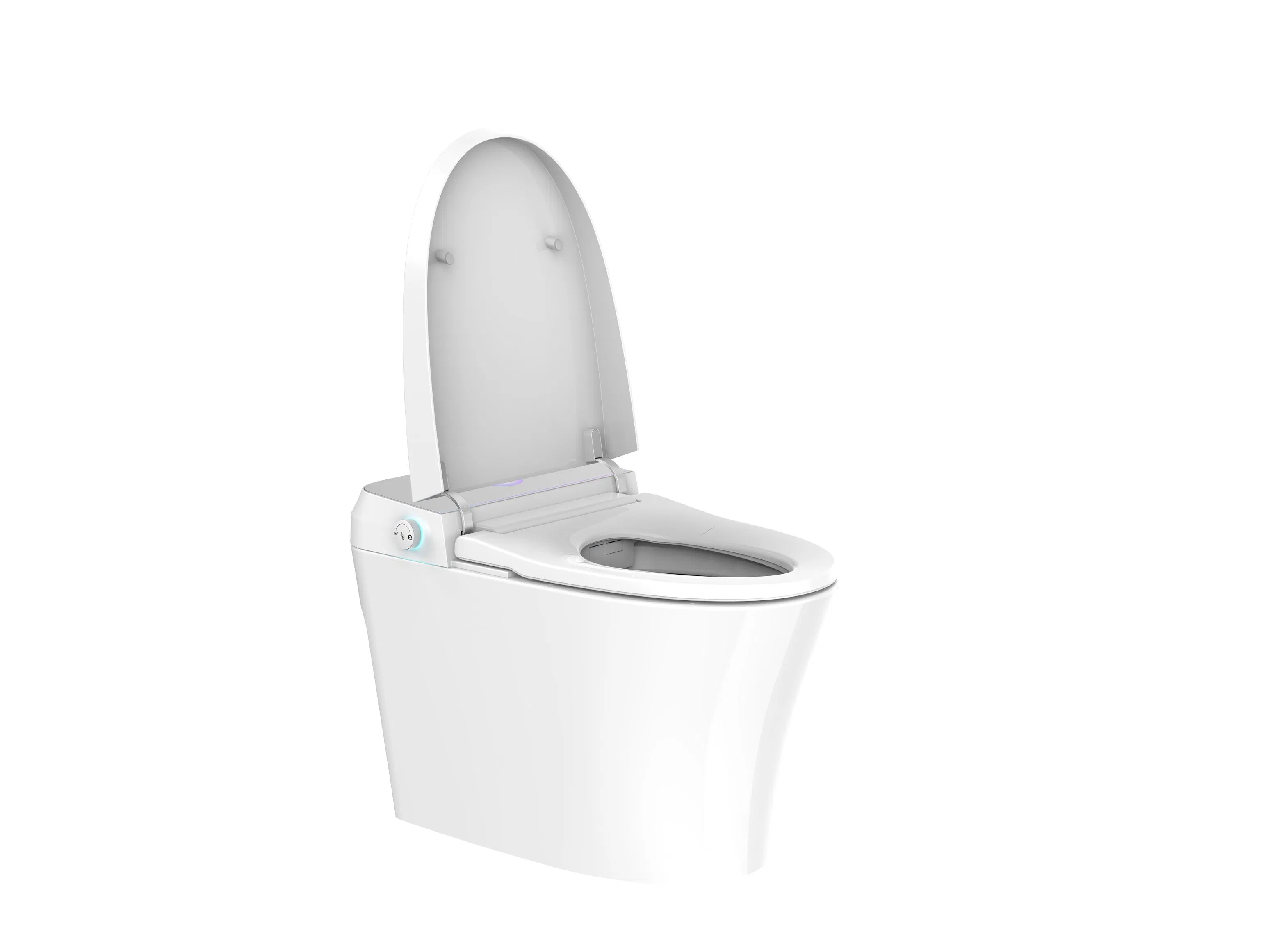 Contemporary Electronic One-Piece Smart Toilet with Automatic Flushing, Instant Heat, Night Light, Dryer