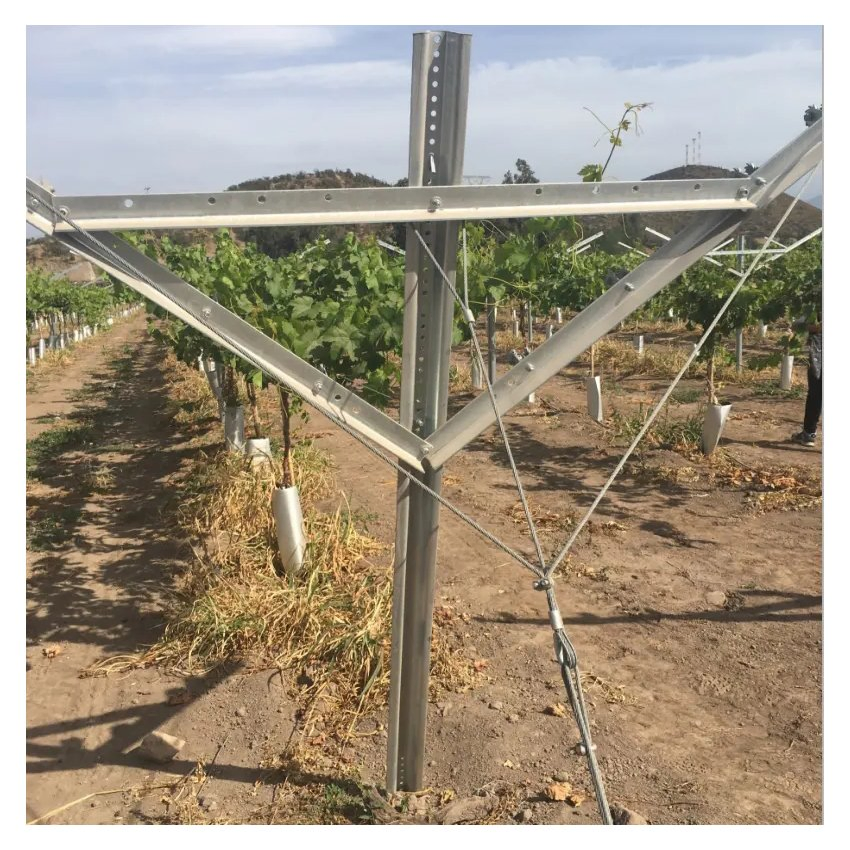 High-Quality Galvanized Steel Grape Vineyard Trellis Post System Kit