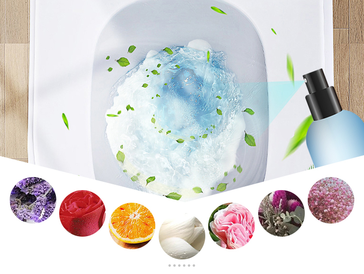 Hot Sale Heavy Duty OEM Lavatory Cleaning Stain Removal Cleaner Toilet Detergent