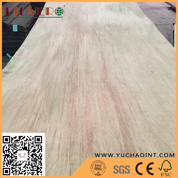 AA Grade Natural Gurjan/ Keruing Veneer as Plywood Face