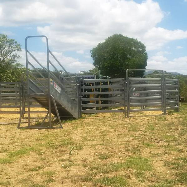 Australia Livestock Cattle Loading Ramp with Sliding Gate