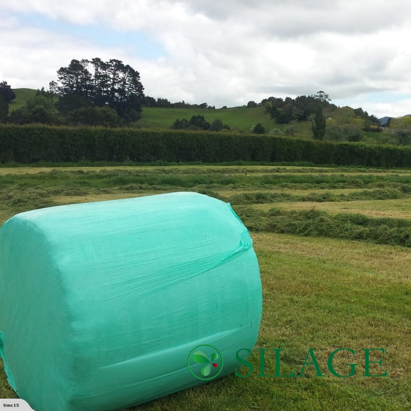 High Quality Green LLDPE Silage Film for Round Bale