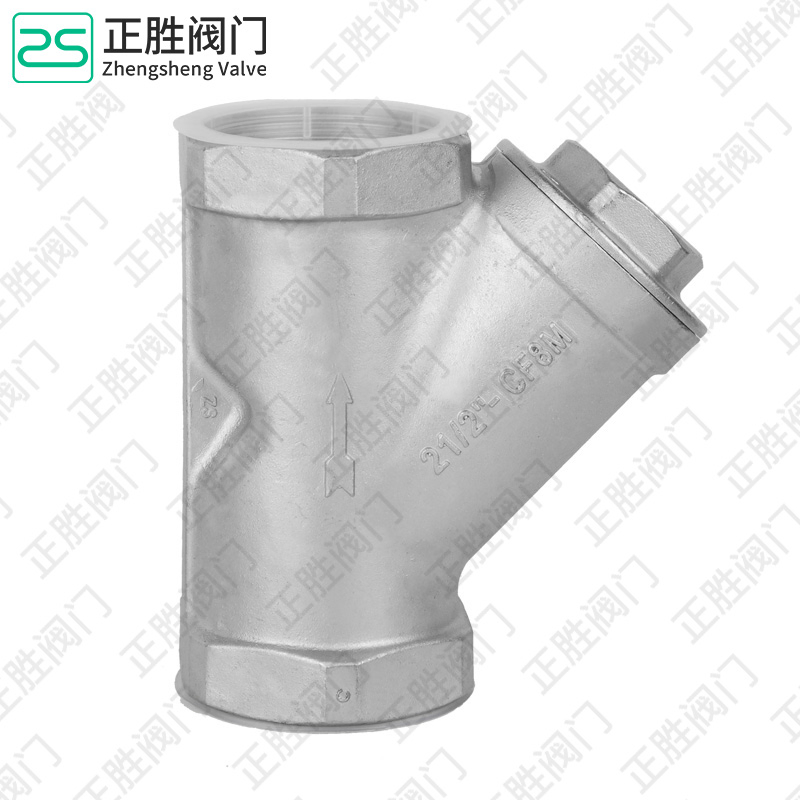 Premium SS304 Y Strainer for Advanced Liquid Filtration Solutions