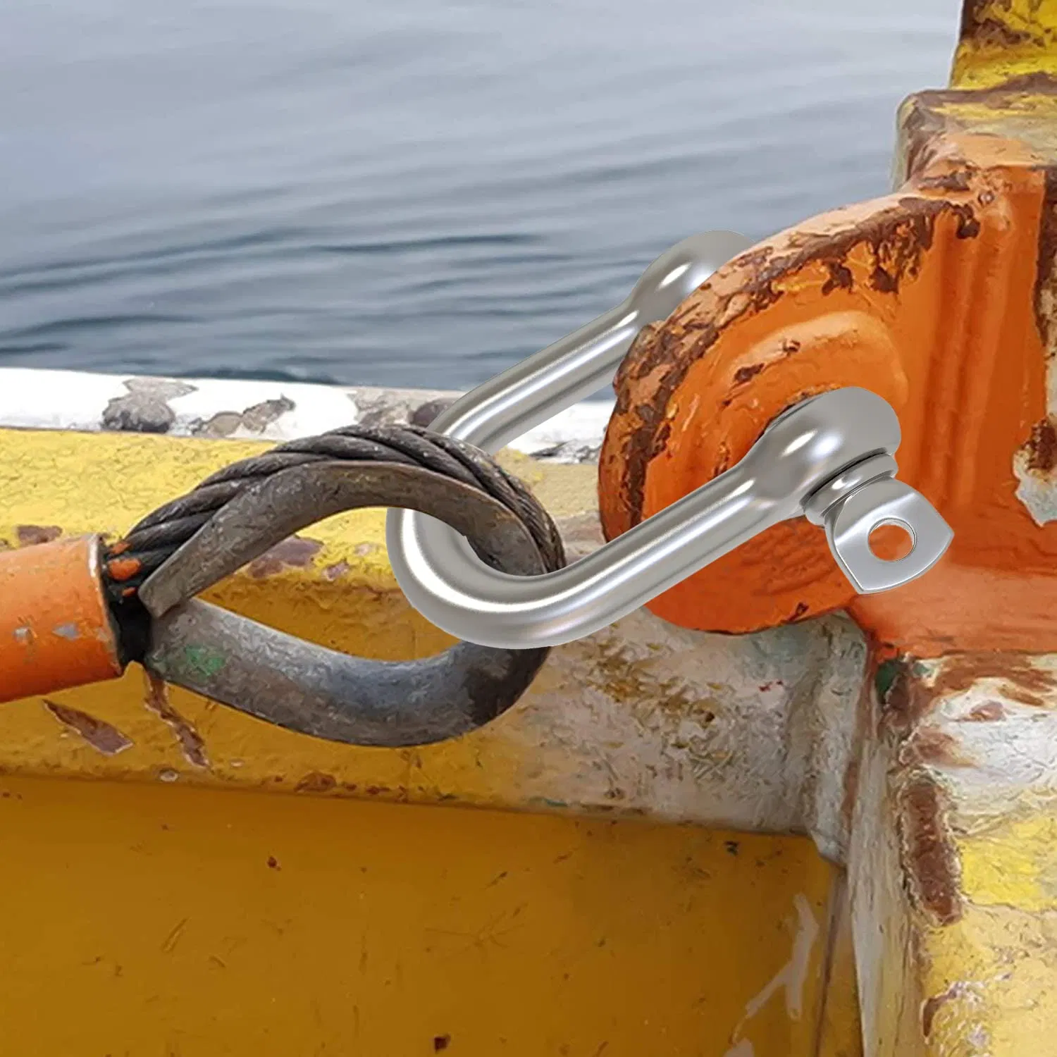 1/2 Inch 12mm Screw Pin Anchor Shackle 304 Stainless Steel D Ring Shackle for Wirerope Lifting Ship Anchor