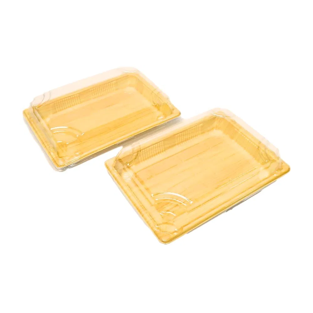 Wholesale Plastic Reusable Food Container Disposable Fast Food Packaging Takeaway Rectangle Sushi Box with Clear Lid