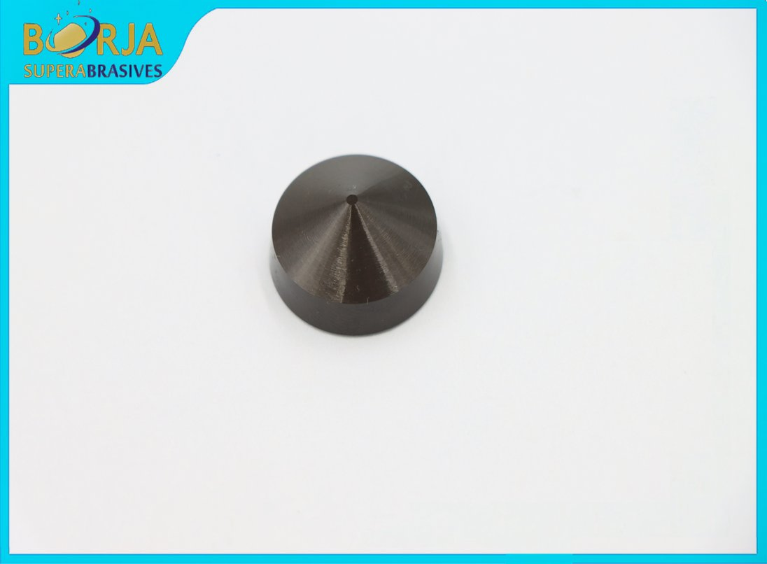 Rcgv120700 Whisker Ceramic Insert for Rolls