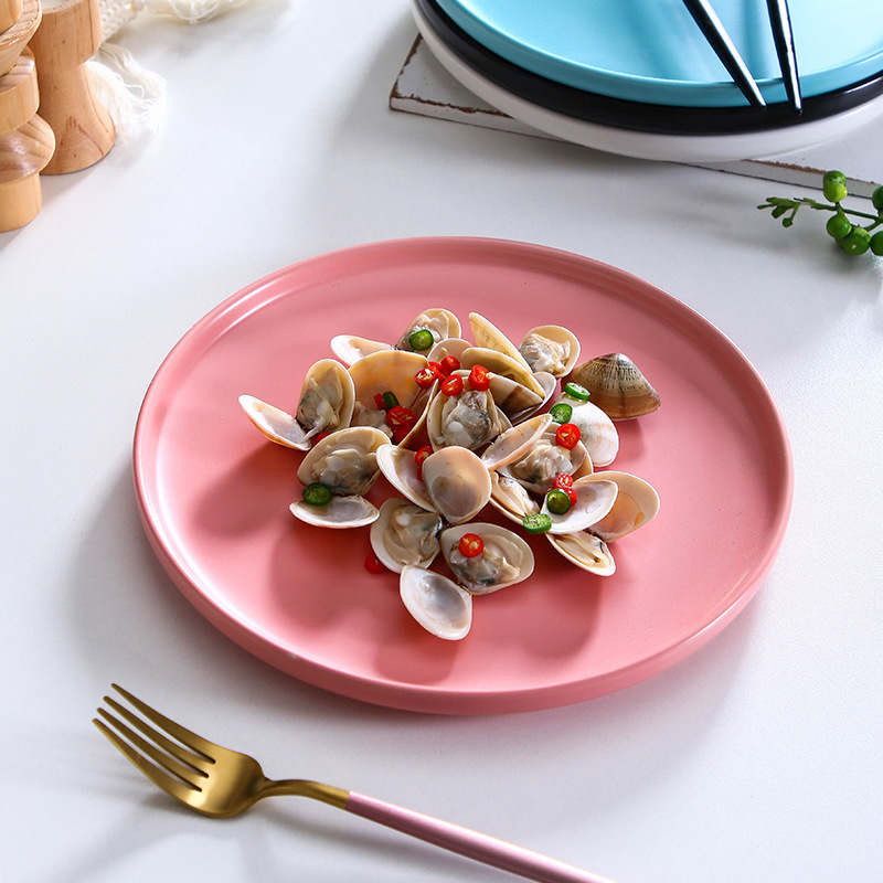 Ceramic Tableware Pasta Plate Steak Home Salad and Dessert Macaron Colours
