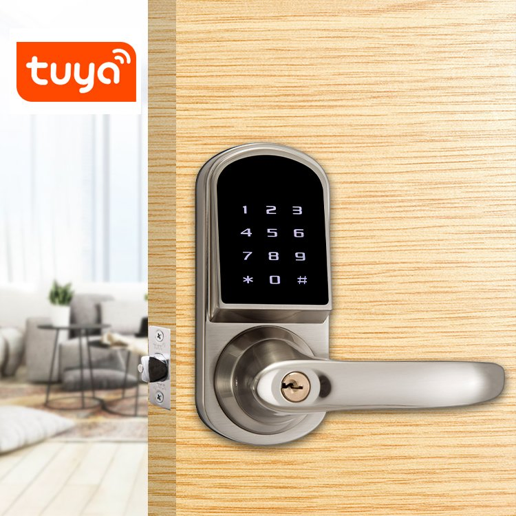 Bluetooth Keyless Go APP Tuya WiFi Access Smart Code Card Door Lock Handle Lock