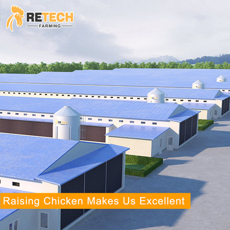 Good design high quality steel structure poultry house commercial chicken farm